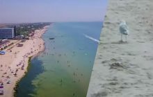 Вместо людей только чайки: россиянка показала, как в оккупации выглядит популярный курорт