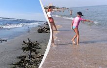 Лише водорості та медузи: ЗМІ показали, яким в окупації став відомий курорт на Херсонщині