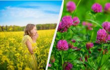 2 вересня відзначаємо три великі свята: кого привітати і чого не можна робити