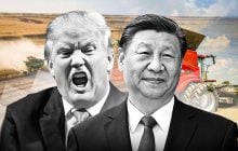 "Штовханина" Китаю та США: як українським аграріям вижити в епоху торговельної війни двох наддержав