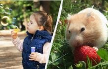 Що потрібно зробити всім жінкам: важливий звичай у свято 3 вересня 2025