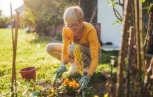 Что есть женщине после 50 лет для здоровья костей: диетологи назвали нужные продукты