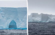 Самый большой айсберг в мире раскололся: по площади он был как целый штат США, что это значит