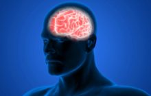 Ученые впервые составили карту полной активности мозга во время принятия решений