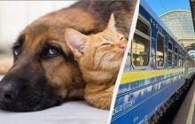 Як подорожувати з тваринами потягом: "Укрзалізниця" оновила правила