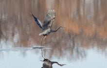 Синоптикиня назвала точну дату, коли в Україні трохи потеплішає