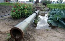 НАТО вивчило досвід України та планує відгородитися болотами від російських танків, - ЗМІ