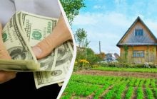 Приблизно 200 тисяч доларів за гектар: експертка розповіла, де в Україні найдорожча земля