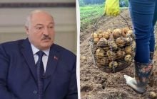 Бояться повторити долю Лукашенка: в країні екс-СРСР картоплю підтримають на рівні держави
