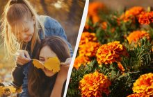 Почему сегодня трагический день: верования и приметы в праздник 11 сентября 2025