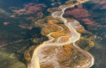 Почему реки Аляски стали оранжевыми: ученые предупредили о необратимых изменениях в природе