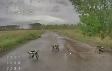 Как дроны РФ коварно атакуют украинских бойцов на трассе: "Флеш" показал видео