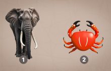 Удивительный тест на внутреннюю обиду: 95% злопамятных людей делают один выбор