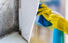 Черной плесени на стенах больше не будет - вот что нужно сделать: лайфхак из Ирландии