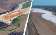 Вместо воды - соль: на юге Одесской области зафиксированы последствия разбалансировки климата