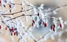 Холод из Арктики идет в Украину: синоптик рассказал, когда ударят морозы (карта)