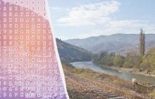 Не кожен може знайти слово "Тиса" за 10 секунд: складна оптична ілюзія