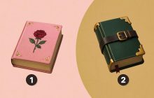 Насколько вы конфликтны - интересный тест: спорщики делают одинаковый выбор