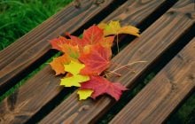 З 6 листопада погода в Україні почне поліпшуватися