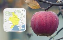 Укргідрометцентр попереджає про небезпеку: негода накриє 5 областей (список)