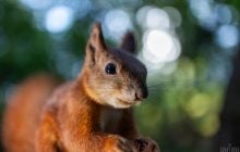 Сьогодні погода в Києві почне поліпшуватися