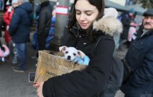 Будуть зважувати на чотири чинники: експерт оцінив, скільки українців повернуться додому після війни