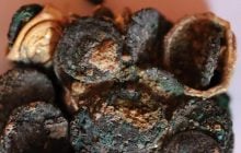 В сгоревшем доме римской семьи в Румынии нашли древнее сокровище (фото)