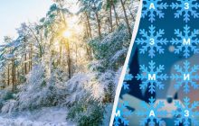 Треба бути детективом, щоб знайти слово "зима" за 8 секунд: напрочуд складна головоломка