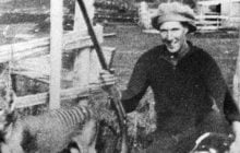 Біолог розповів про хижака, який зник з лиця Землі назавжди