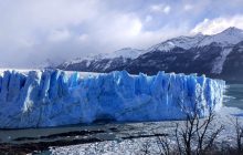 Эти гиганты живут до 200 лет: в ледяной Арктике обитают млекопитающие-долгожители