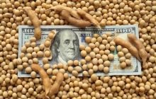 Экономист Галасюк: Сохранение "соевых поправок" - тест правительства и парламента на профессионализм