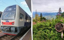 "Укрзализныця" меняет движение ряда поездов в Карпаты: как будут курсировать рейсы