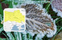 В Украине на три ночи подряд объявили І уровень опасности: где ударят заморозки (карта)