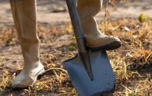 Потрібно перекопувати город восени чи ні: головна помилка дачників
