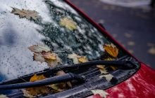 29 сентября в Киеве будет пасмурно и влажно: прогноз
