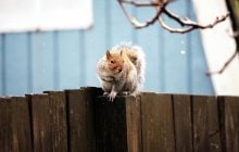 18 листопада в Україну увірветься сильне похолодання: температура впаде до +2°...+4°