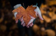 17 листопада в Україні буде тепло, попереду - похолодання