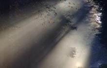 В Харькове с утра объявили І уровень опасности: что будет (инфографика)