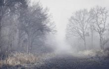 В Днепре объявили І уровень опасности (график)