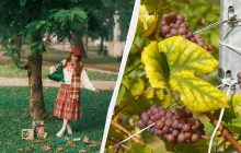 День вихователя та ще 4 свята відзначає Україна: кого привітати 27 вересня