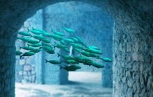 Экологи обнаружили новую опасность для океана, связанную с глобальным потеплением, - WSJ