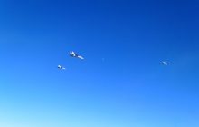 Угорські винищувачі НАТО перехопили 5 російських літаків поблизу Латвії