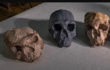 Древний череп из Китая кардинально меняет историю эволюции человека, - исследование