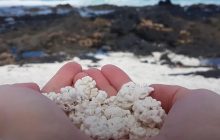 Пісок з "попкорну": на Канарських островах є незвичайний пляж, який вражає туристів