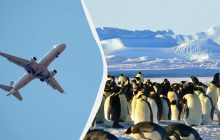 Почему самолеты не летают по прямой и обходят Антарктиду: зачем пилоты меняют маршрут