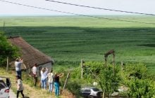 Вербовый лес на месте Каховского водохранилища оказался мутантом, - ботаник