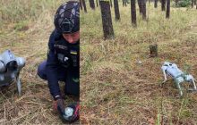 Псу Патрону пора на пенсию: роботизированные псы зачистили лес на Киевщине после атаки РФ