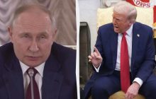 Трамп может быстро склонить Путина к миру: эксперт объяснил, что для этого нужно сделать