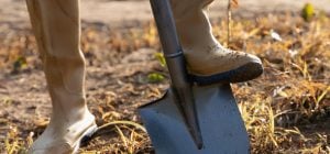 В апреле огород нужно посыпать этим удобрением: почва станет плодороднее в 10 раз