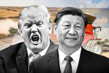 "Толкотня" Китая и США: как украинским аграриям выжить в эпоху торговой войны двух сверхдержав